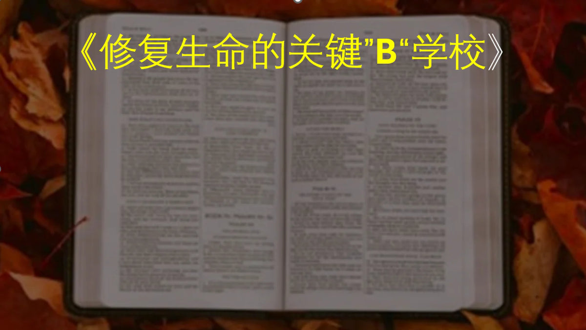 修复生命的关键”B“学校 2026年8月15日 - 2027年4月17日