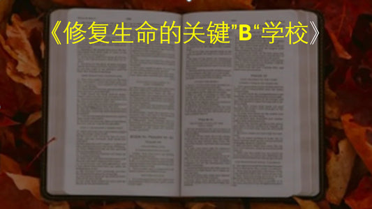 修复生命的关键”B“学校 2026年8月15日 - 2027年4月17日